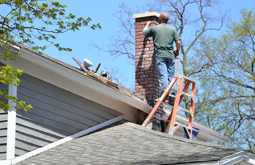 Chimney & Fireplace Inspections Services in Palm Valley, FL
